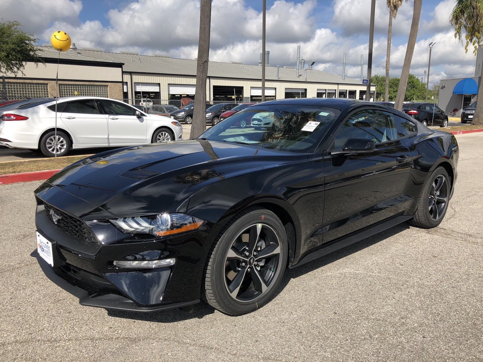 New 2019 Ford Mustang EcoBoost Coupe in San Antonio #990025 | Red ...