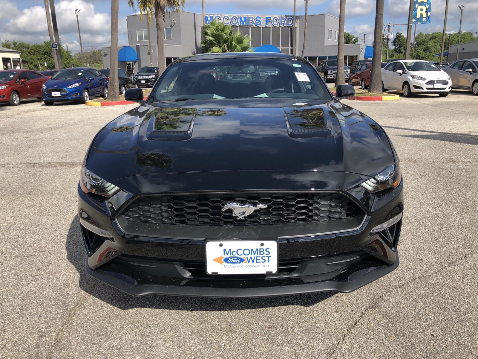 New 2019 Ford Mustang EcoBoost Coupe in San Antonio #990025 | Red ...