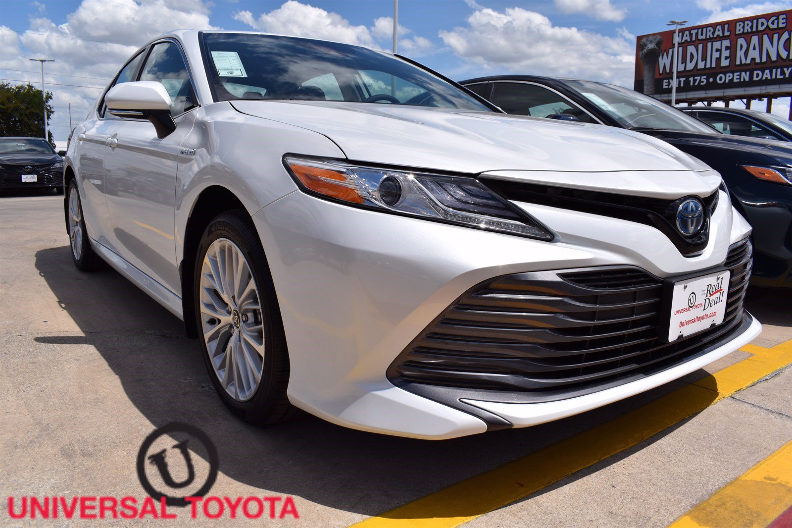 New 2020 Toyota Camry Hybrid XLE 4dr Car in San Antonio #203173 | Red ...